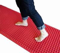 AOK Wide Sensory Walkway - Blue